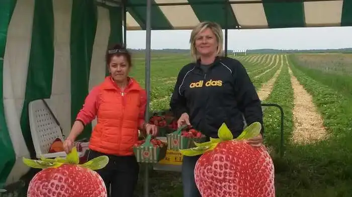 Sabine Höfer (re.) vom Obstbaubetrieb Bartlbauer mit einer Verkäuferin auf einem Erdbeerfeld.