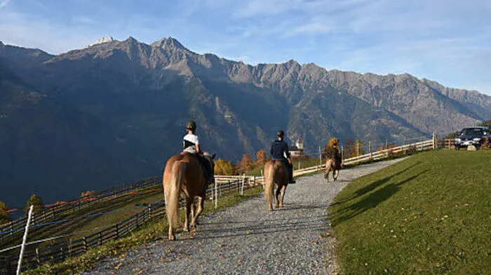 Hoch zu Ross auf über 1300 Meter Seehöhe: Pony- oder Haflingerreiten bietet der Bauernhof "Tholer" in Aschbach im Vinschgautal an.