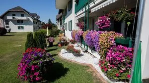 Martin Krainz aus Grafenstein hat voriges Jahr bei der Blumenolympiade einen ersten Platz gemacht: Ein gutes Beispiel dafür, wie bunt ein Garten sein kann
