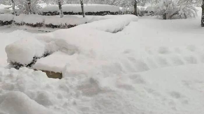 Egal ob bei Mario Lindner in Landl, wo der Schneefall nicht aufhört....