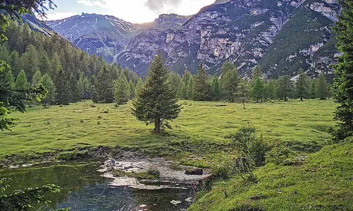 Beim Allerleibrunnen rückt man unerwünschten Bäumen und Sträuchern zu Leibe