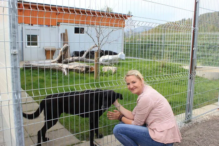 Auch zwanzig Hunde leben derzeit im Heim, wo sich Nina Mocnik und ihr Team um die Vierbeiner kümmern.
