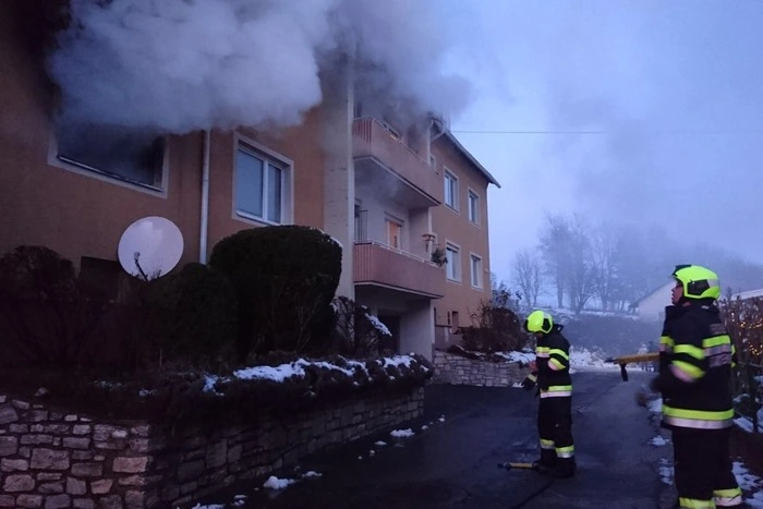14 Personen mussten evakuiert werden, jene vierköpfige Familie, die in der Wohnung wohnte, in der das Feuer ausgebrochen war, wurde ins Spital gebracht.