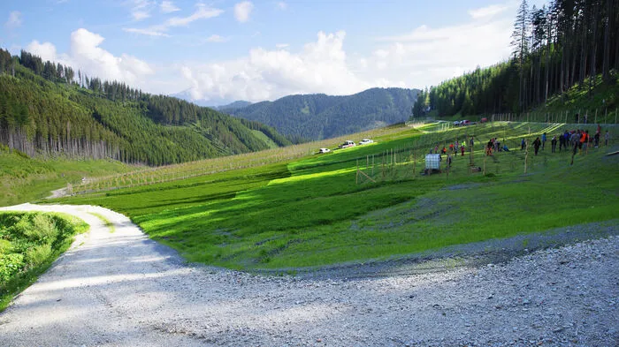 Im Longsgraben bei Steinhaus am Semmering wurde von der "ÖBB Infra" seit 2013 Ausbruchsmaterial aus dem Semmering-Basistunnel deponiert. Jetzt wird die Deponie begrünt.