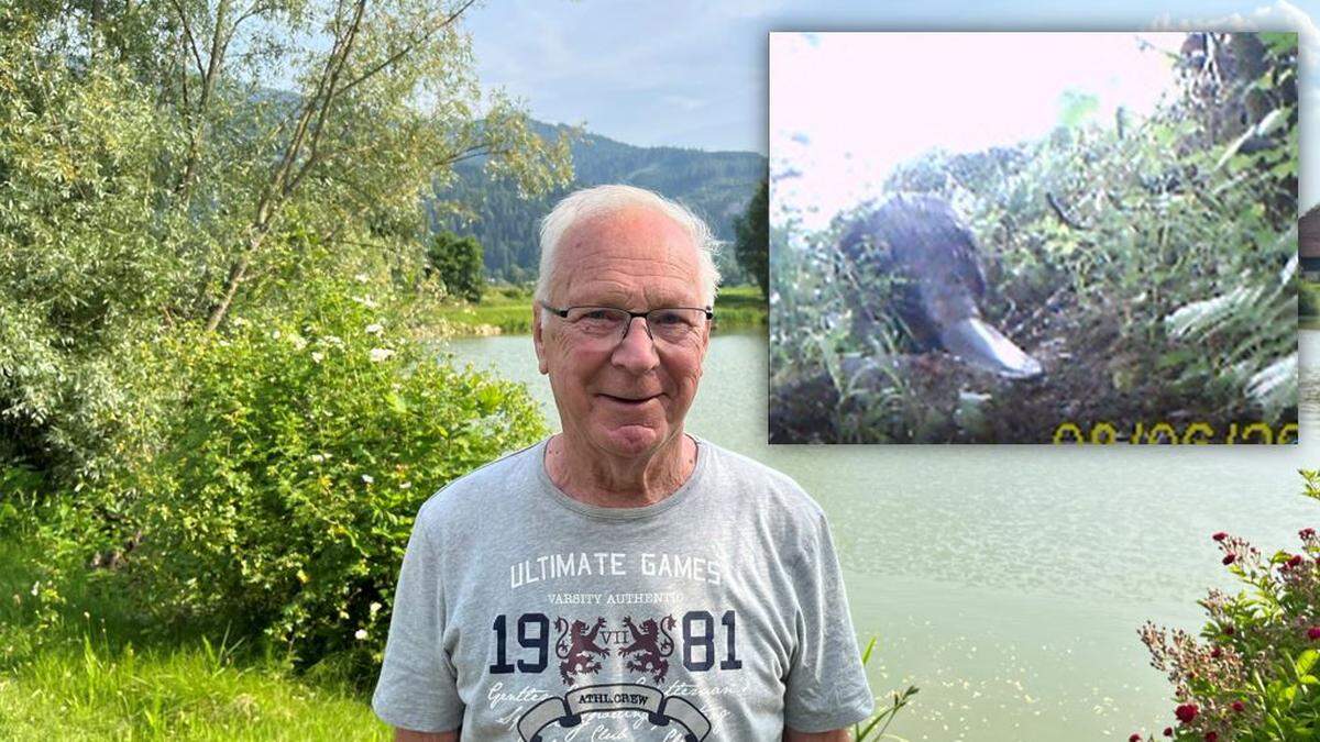 Anton Mayer, Obmann vom Arbeiterfischereiverein Leoben, hat den Biberbesuch beim Teich zwischen Leoben und Proleb auf seiner Wildkamera festgehalten