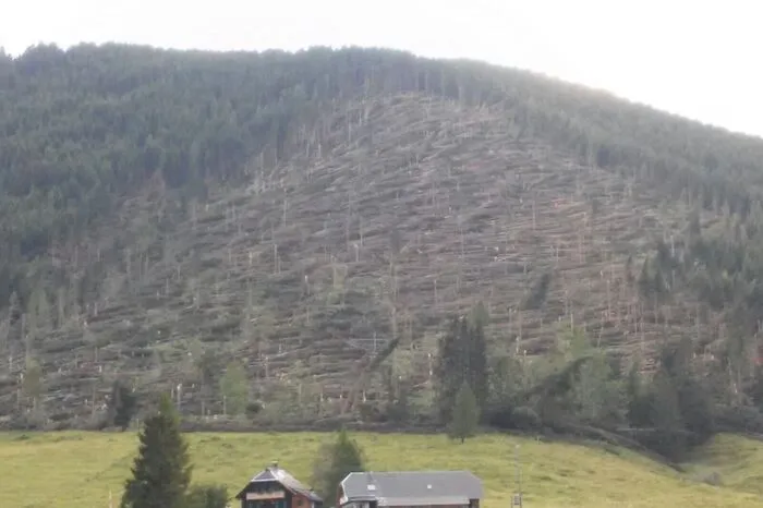 Der Sturm am vergangenen Donnerstag hinterließ bei der „Alm hinterm Brunn“ eine riesige Kahlfläche.