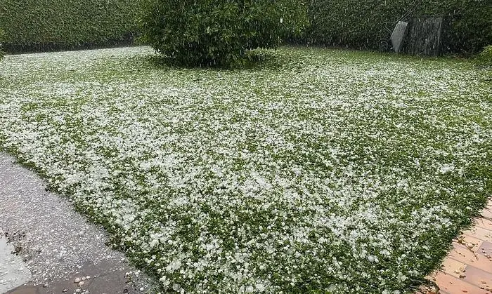 Ein Garten in Ebenthal