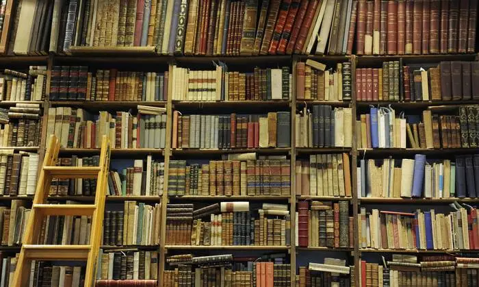 Die US-Einkäufer haben es ausschließlich auf antiquarische Bücher abgesehen