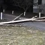 Eine starke Windböe entwurzelte diesen Baum, der in der Folge auf die Zangtalerstraße stürzte