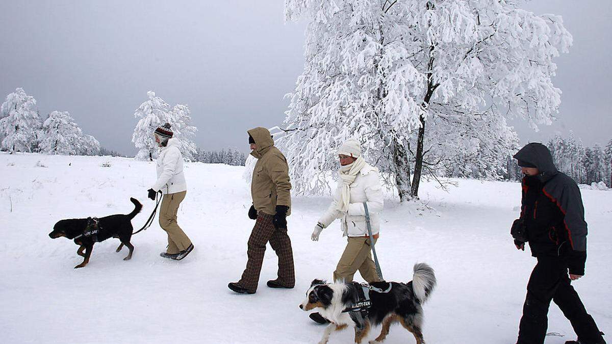 In der Winterzeit müssen Hunde auch im freien Gelände an der Leine geführt werden