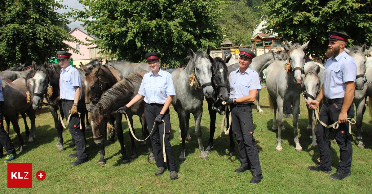 Lipizzaner-Almabtrieb-soll-zu-einem-der-gr-ten-Events-der-Steiermark-werden