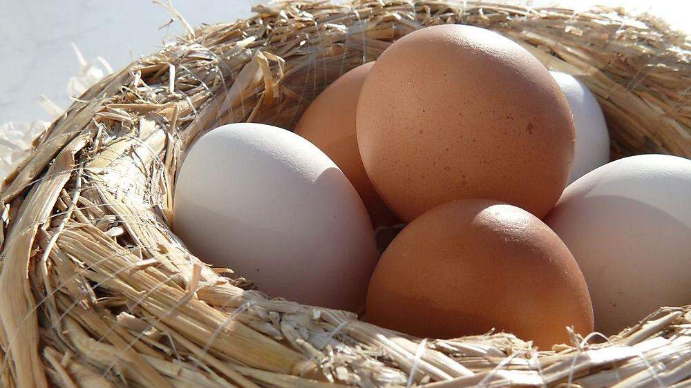 Augen auf beim Eierkauf: Eier aus artgerechter Hühnerhaltung sind nicht selbstverständlich