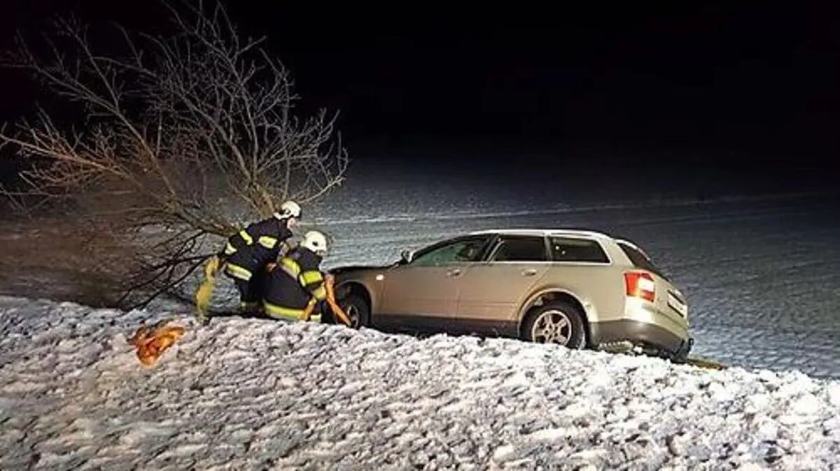 Die Frau krachte mit dem Auto gegen einen Baum