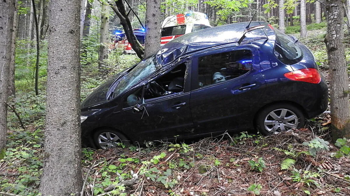 Der Pkw kam in einem Wald zum Stehen