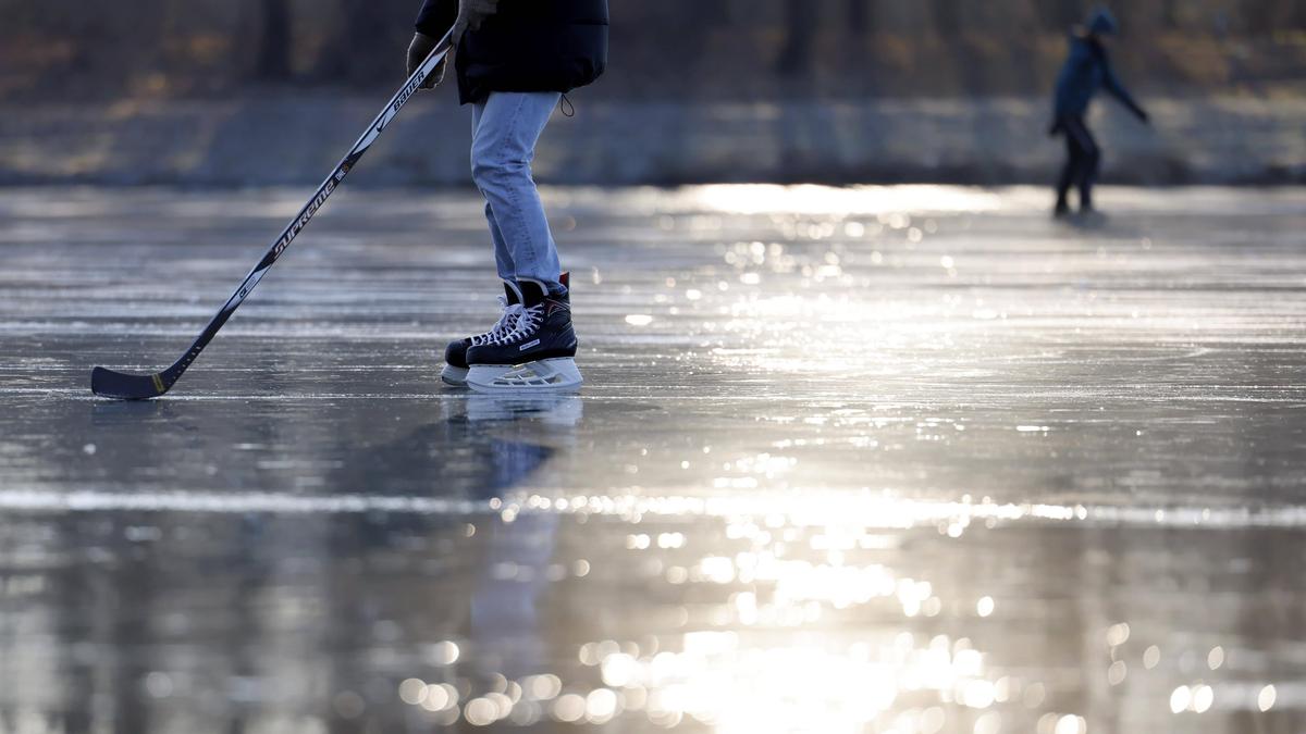 Anfang der 2000er-Jahre spielte der Kärntner für einige Zeit in der Eishockey-Bundesliga