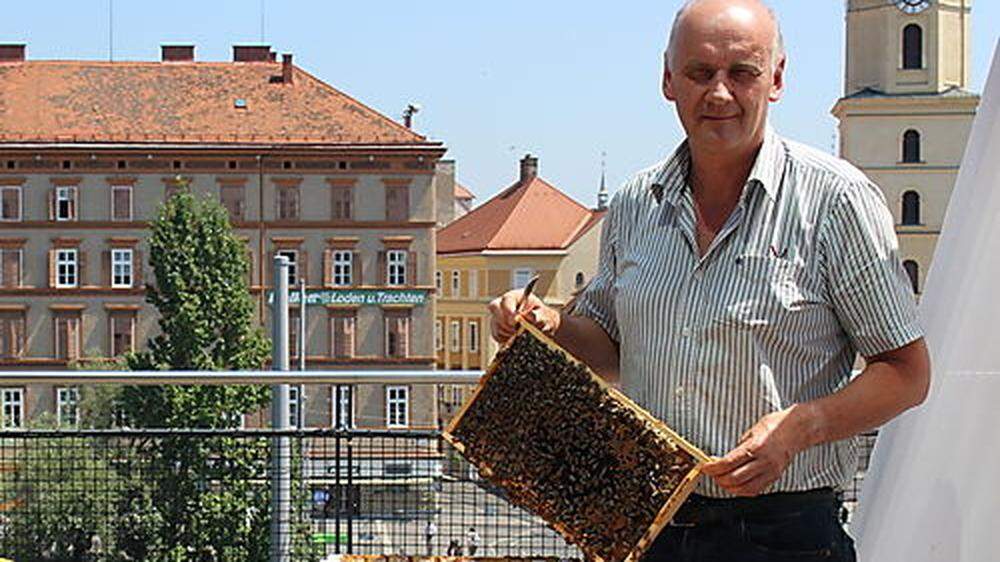 Imker Maximilian Marek erntete 30 Kilogramm Honig am Kuthaus. Ab Herbst zu kosten