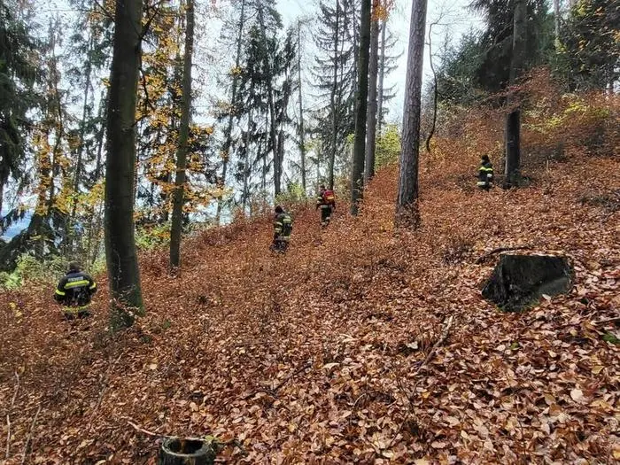 Die Suchaktion wurde am Donnerstag fortgesetzt