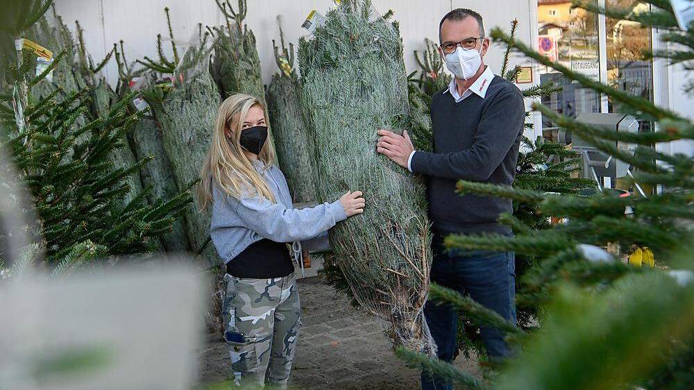 Auch im Freigeländer vieler Baumärkte hat der Christbaumverkauf schon begonnen