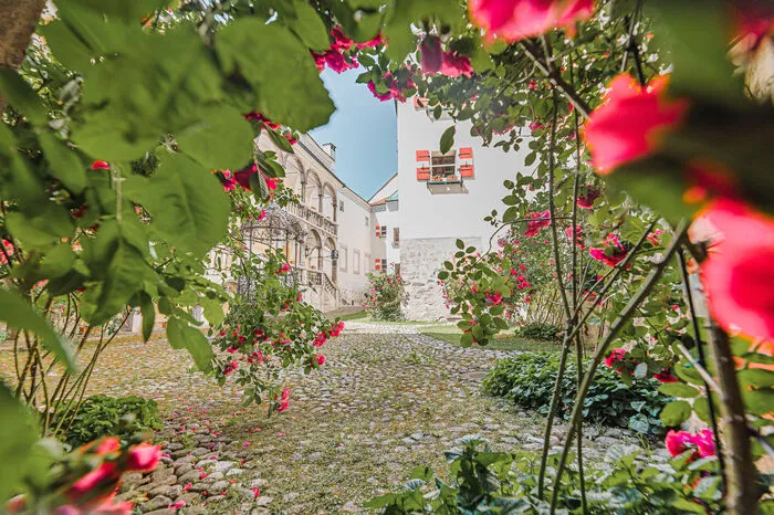 Wird in der Bildersprache eine große Rolle spielen: Die Burg Strechau