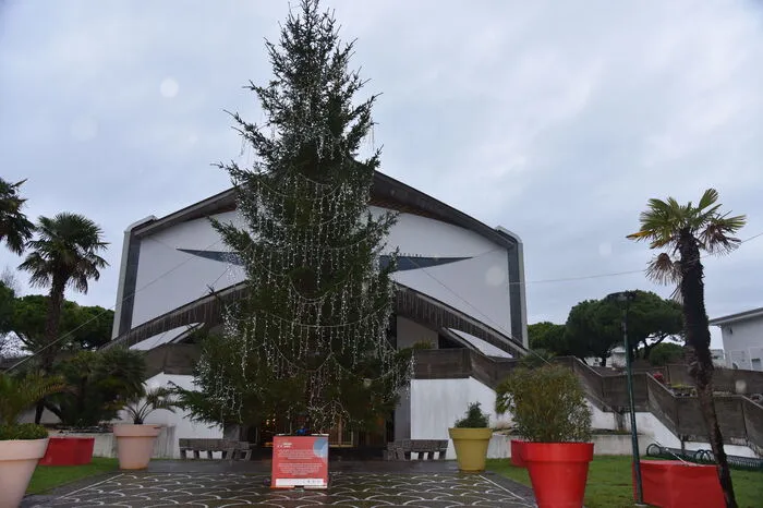 Der Weihnachtsbaum kommt aus der Gemeinde Untertauern.