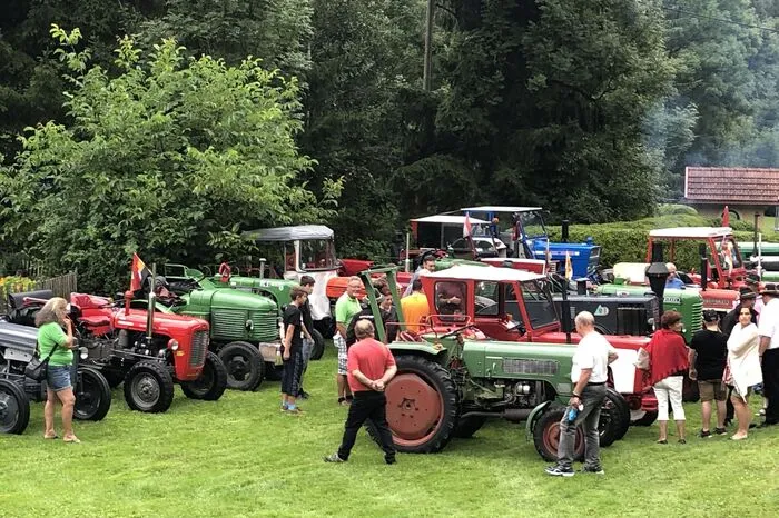 An die 200 Oldtimerbesitzer waren gekommen.