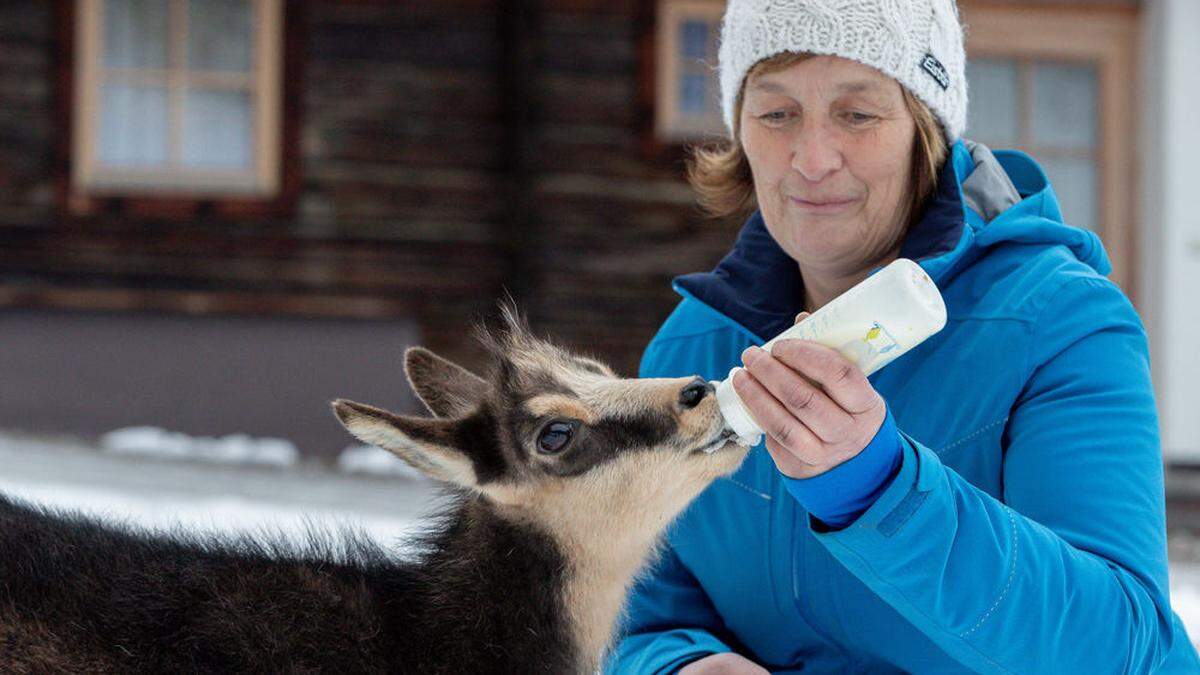 Jeden Abend gibt es für Lotti ein gut gefülltes Babyflascherl mit gestreckter Kuhmilch