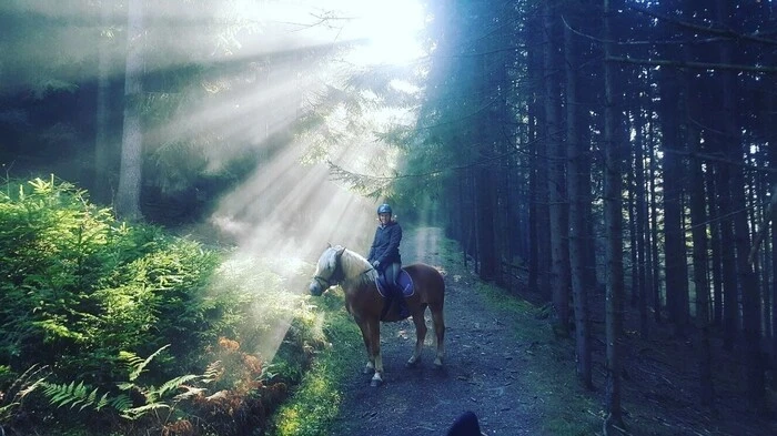 Esmeralda und Reiterin Petra Buder genießen die Herbststimmung im Wald in Kalwang.