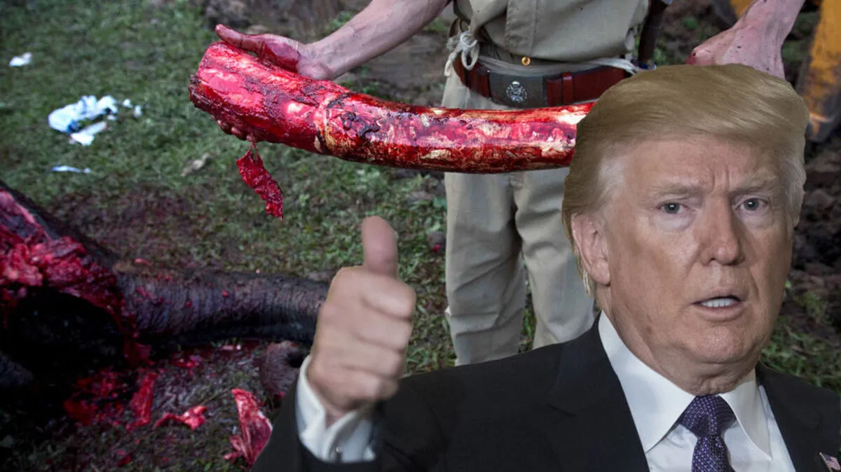 Kein Problem mit Großwildjagd: Donald Trump