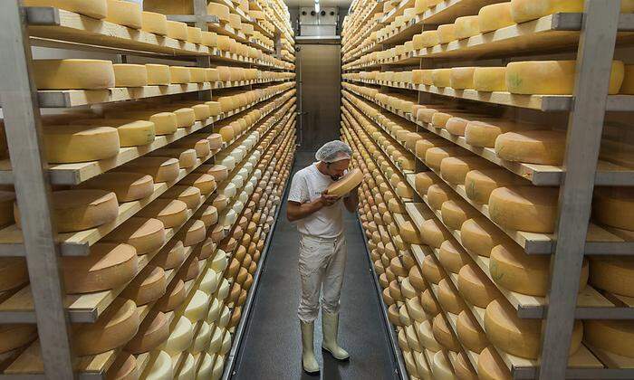 100 Tonnen Käse pro Jahr werden von den rund 20 bäuerlichen Familienbetrieben hergestellt 