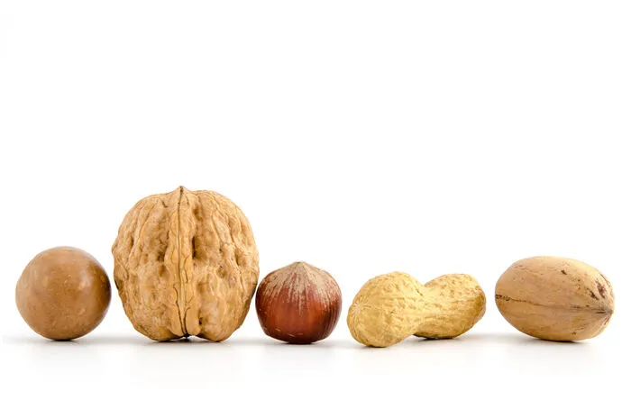 Nüsse sind ein perfekter Spermidin-Lieferant