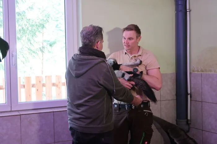 Rainer Zöchling, Leiter vom "Weißen Zoo" übergibt das Tierbaby vorsichtig an Schauspieler Cornalius Obonya.