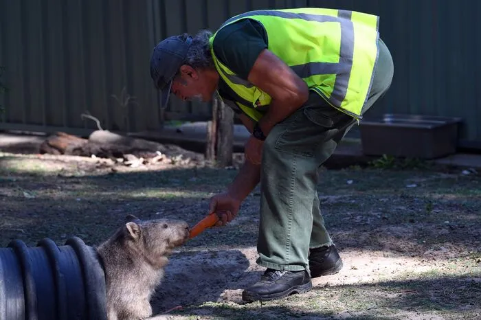 Dadurch entwickelten sie ein Verantwortungsbewusstsein, das sie auf die Zeit nach der Entlassung vorbereite, sagt Mitchell. Auch viele Tiere können nach einiger Zeit wieder in die Freiheit entlassen werden, andere haben sich zu sehr an die Gefangenschaft gewöhnt, um wieder allein in der Wildnis zurecht zu kommen.