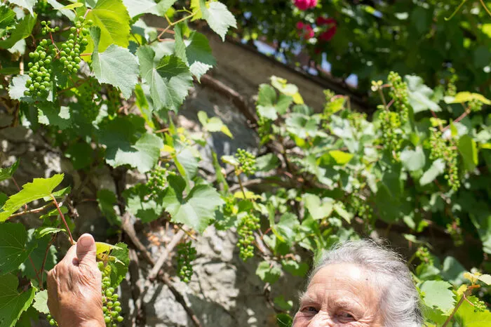 Vorbild ist unter anderem Rosina Lanziger, die Natur als Speisekammer seit jeher nutzt.