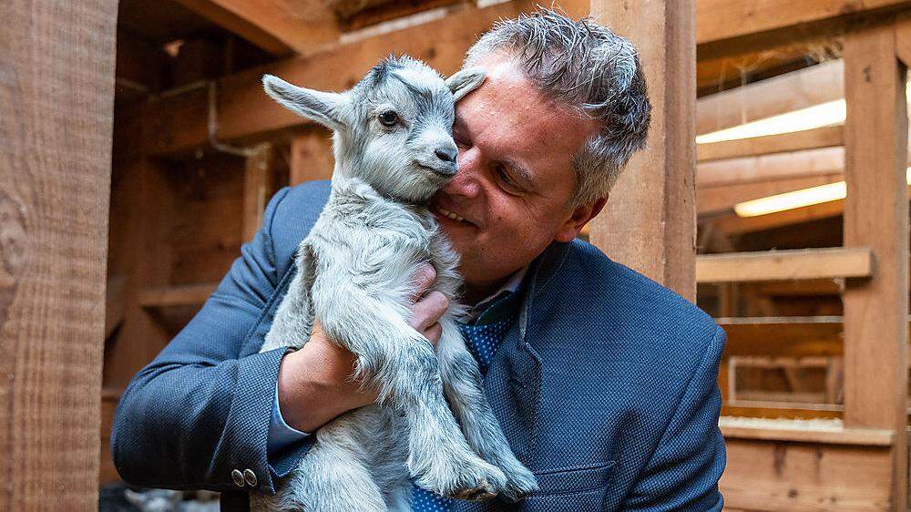 Das Blobe-Ziegen-Lamm ist erst wenige Tage alt. Edgar Wernbacher kuschelt gerne mit ihr in seinem Archehof