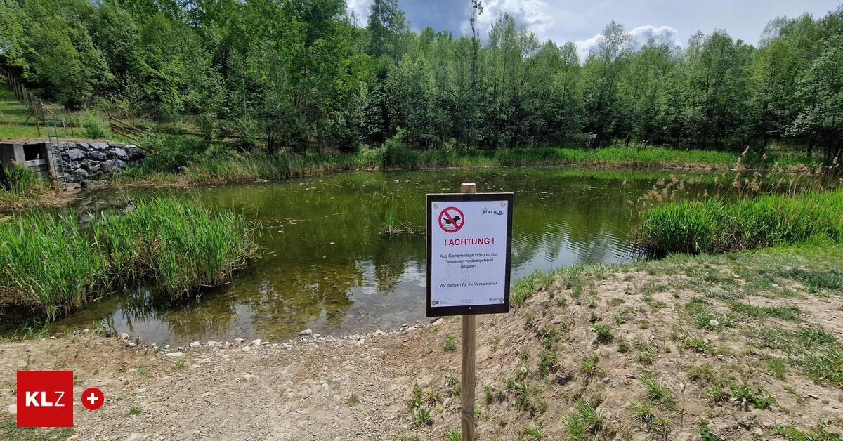 Tod-auf-Hundewiese-Hund-verendete-nach-dem-Schwimmen-Polizei-ermittelt