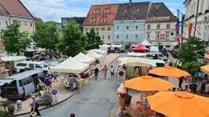 Feldkichen ist jetzt Teil der Cities-App