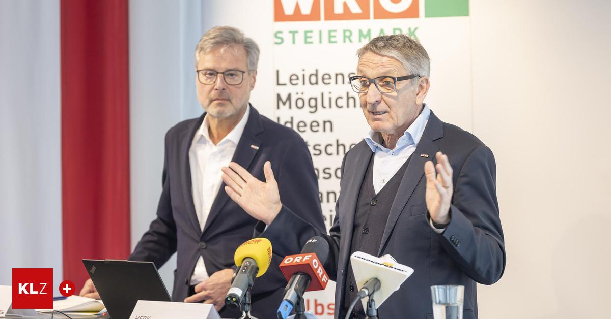 Nach-Mahrer-Wirbel-Wie-viel-die-steirischen-Kammer-Pr-sidenten-verdienen