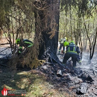 Die Feuerwehr war schnell vor Ort