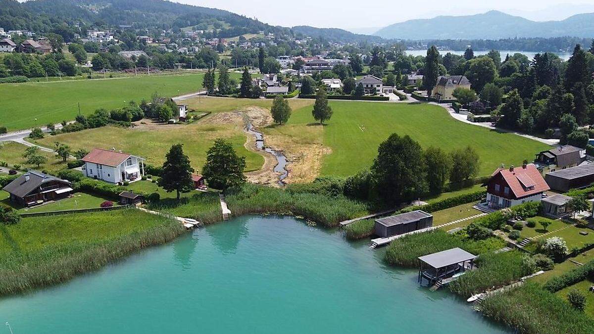 Das Buberlemoos soll einer künstlichen Seeerweiterung helfen