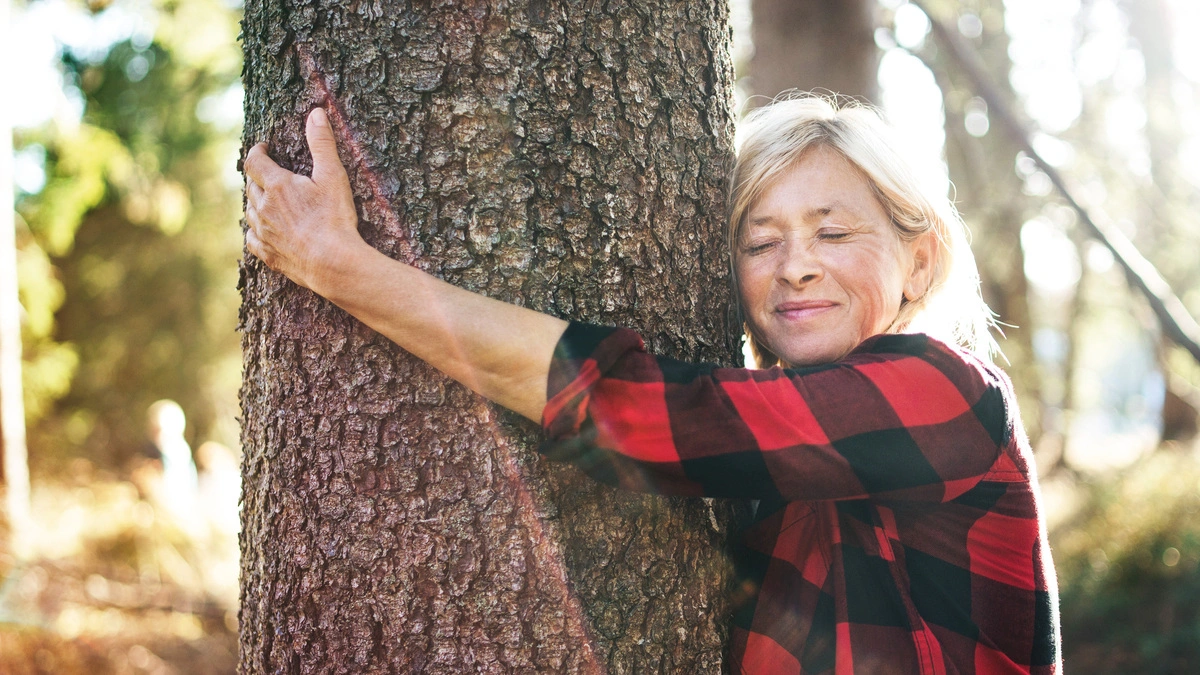 Pro Neuabschluss eines Natur & Zukunft-Kontos wird ein Baum gepflanzt.