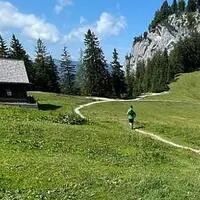 Unfall auf der Alm