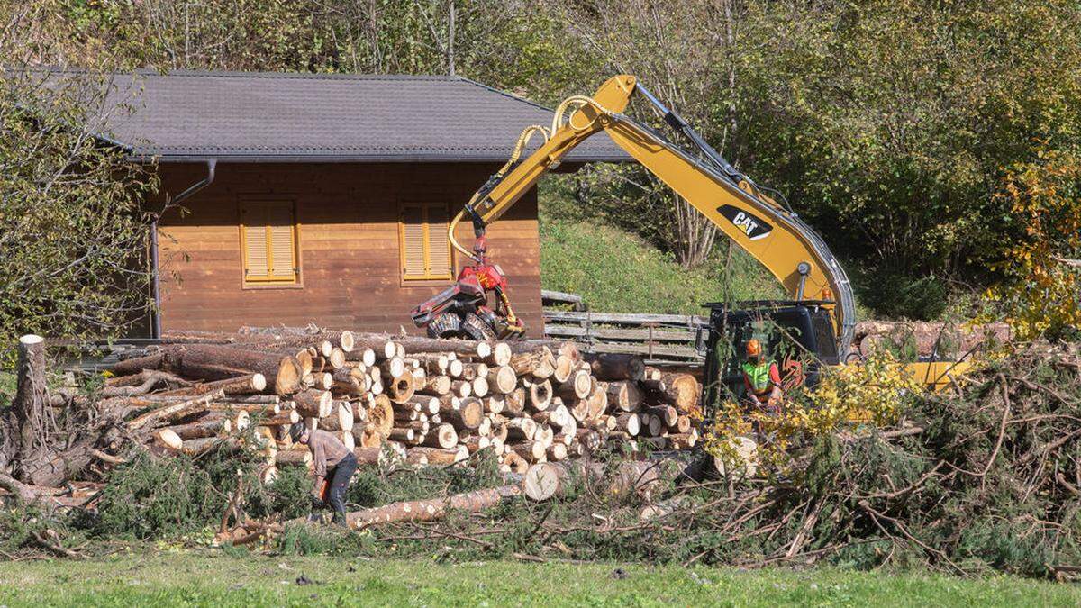 Insgesamt 1500 Hektar Holz werden bis Ende Dezember an der Bahnstrecke abtransportiert  unwegsamen Gelände transportiert 