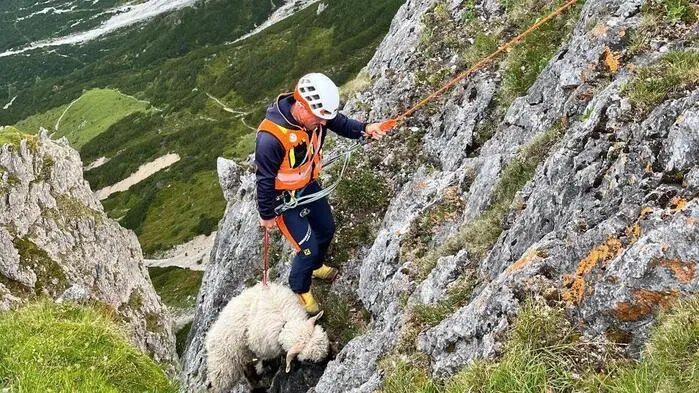Ein Bergretter und ein Schaf in einer Felswand.