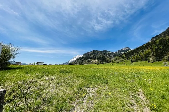 Das etwa fünf Hektar große Grundstück in Niederhofen - im Hintergrund der Grimming