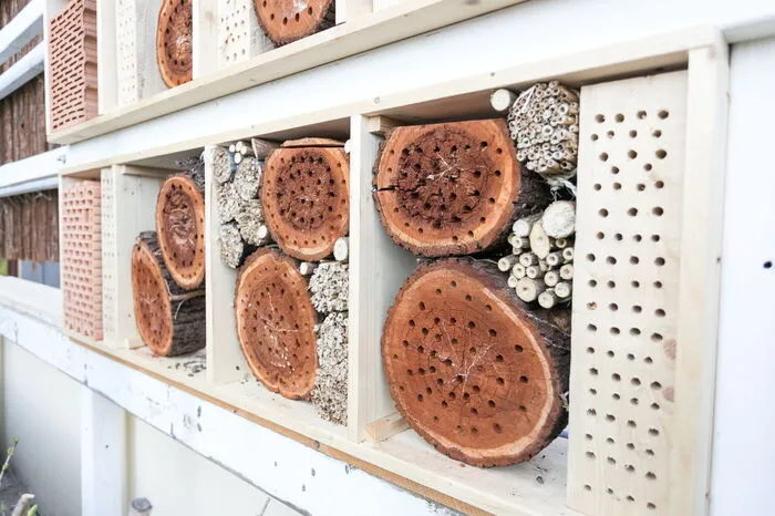 Das neue Hotel für Insekten auf der Terrasse ist bezugsbereit.