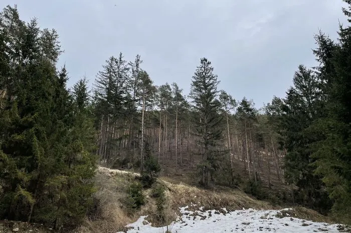 Klicken Sie sich durch die Bilder!