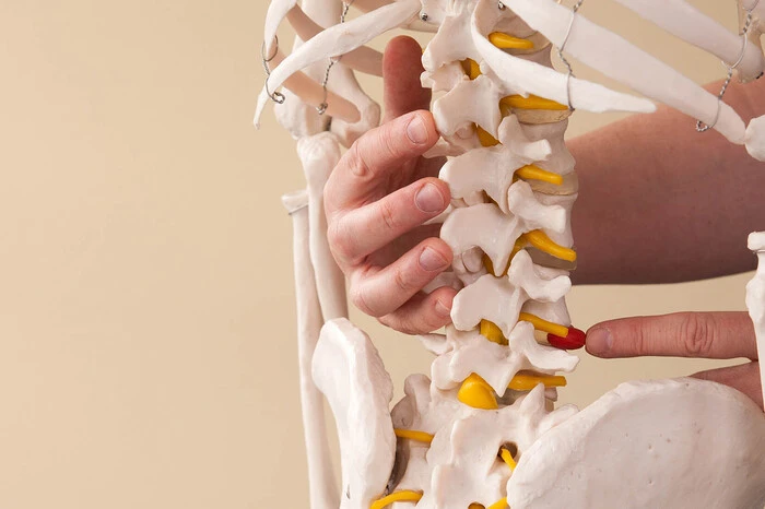 Der Knochenschwund gilt als typische Frauenkrankheit, daher sind Männer oft unterversorgt: Nur fünf Prozent der betroffenen Männer erhalten eine adäquate Behandlung. Doch auch bei den Frauen werden nur 50 Prozent therapiert.