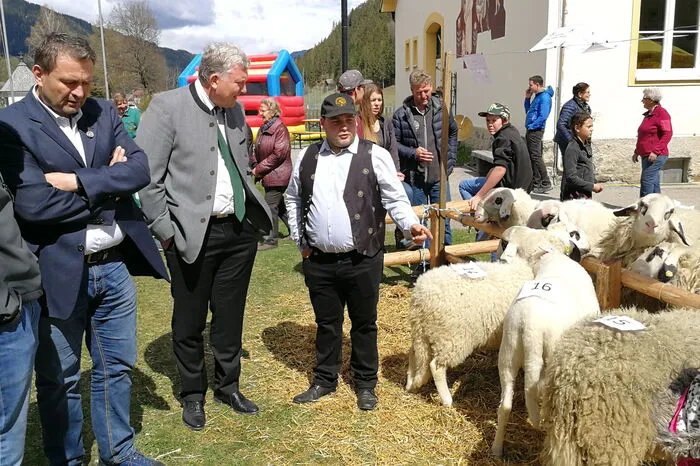 Martin Dullnigg erklärt Bürgermeister Thomas Kalcher, was es mit den Brillenschafen auf sich hat.