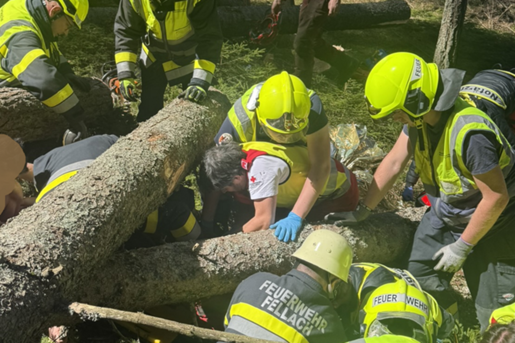 Am Dobratsch: Mann nach Forstunfall 500 Meter durch den Wald getragen
