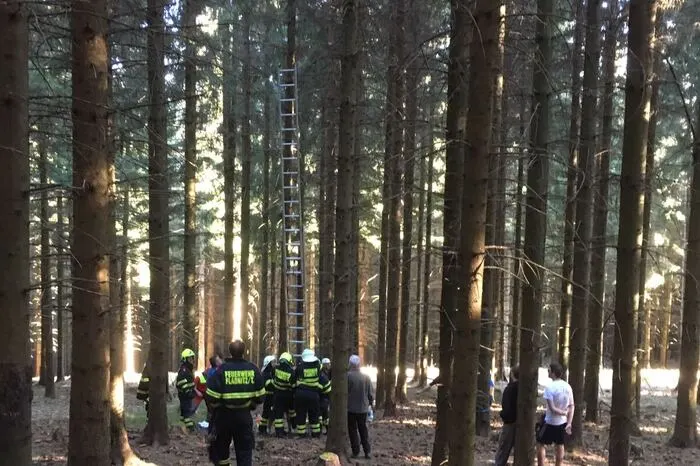 Sicherung des Bergretters, der aufsteigt.
